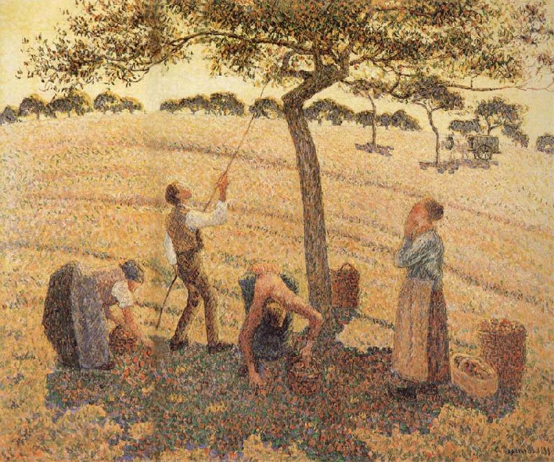 Camille Pissarro Pick Apple